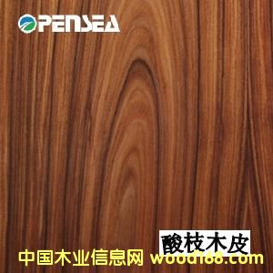 ��֦ľƤ��Ԕ����B