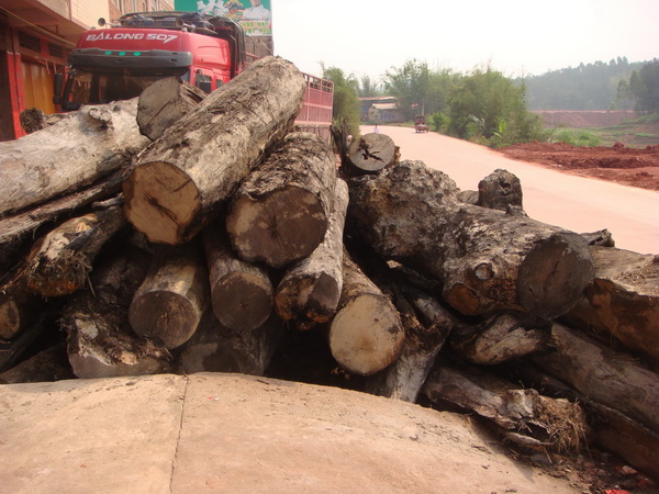 ��ľԭľ��Ԕ��(x��)��B