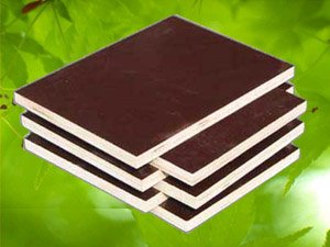 ��Ĥ����ģ��-1220x2440mm-��ľо��Ԕ��(x��)��B