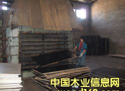 �ߙn����ģ���Ԕ��(x��)��B