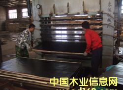 ��Ĥ��ˮģ���Ԕ��(x��)��B