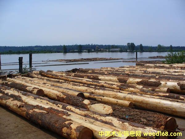 ����(gu��)�Ϸ���ԭľ��Ԕ��(x��)��B