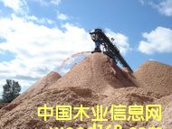 ����(gu��)�Ϸ���ľƬ��Ԕ��(x��)��B