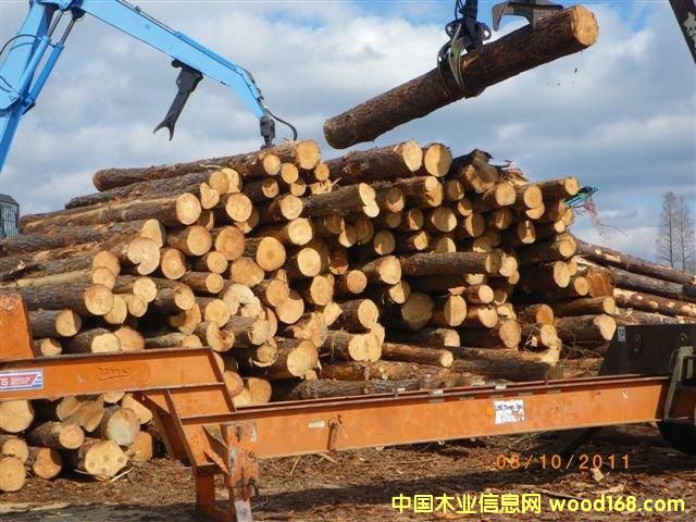 ����(gu��)������ԭľ��Ԕ��(x��)��B