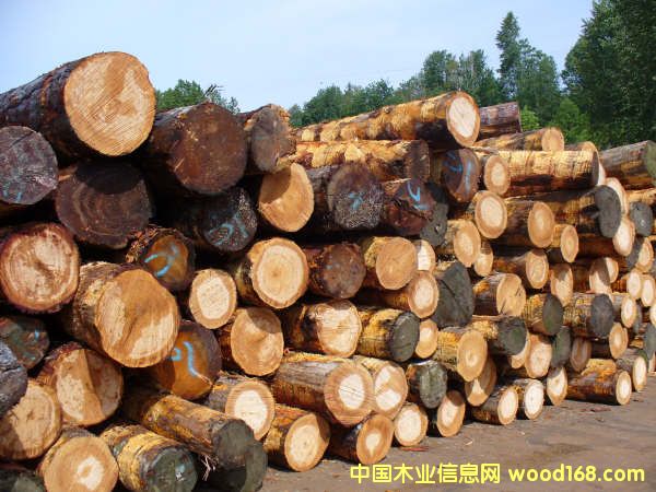 ����(gu��)������ԭľ��Ԕ��(x��)��B