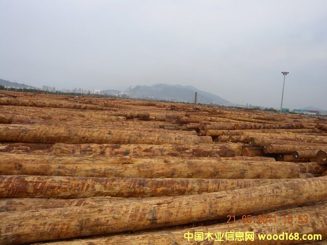 �����ɵ�Ԕ����B