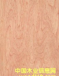 ���ǹ��ΰ��Ԕ��(x��)��B