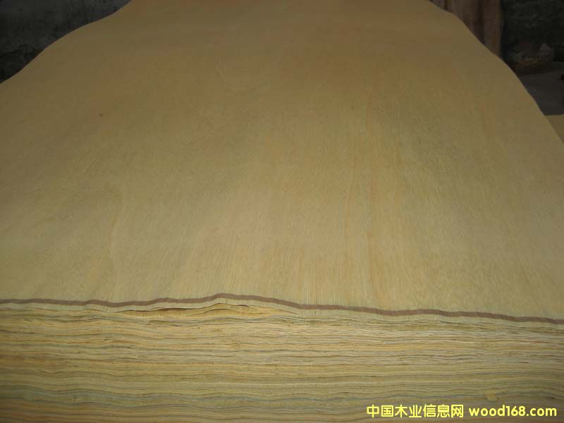 �Sͩ�ΰ��Ԕ��(x��)��B