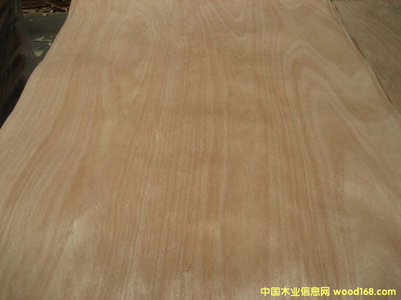 �W�����ΰ��Ԕ��(x��)��B