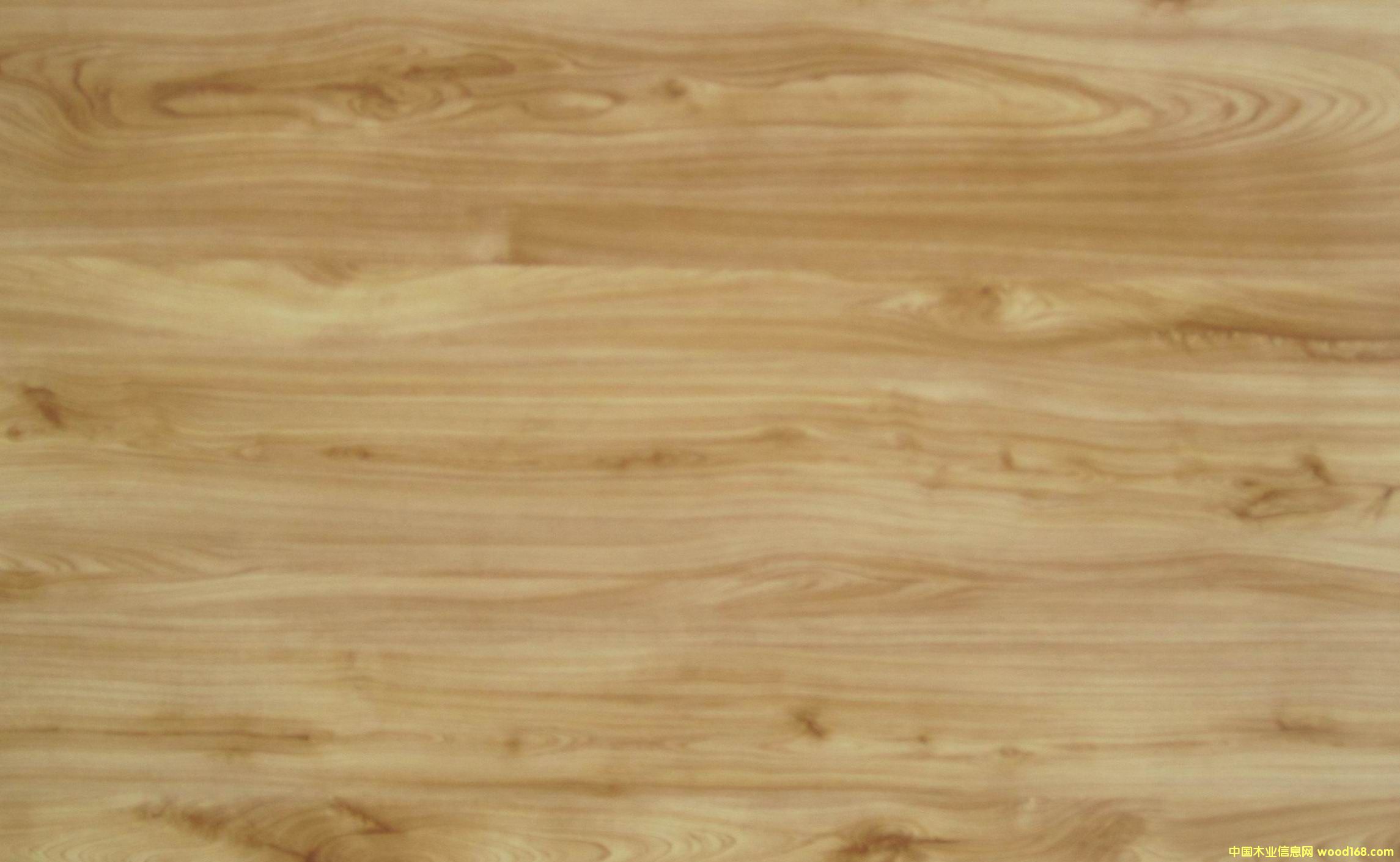 �c���鿴1501�Ŵ�DƬ