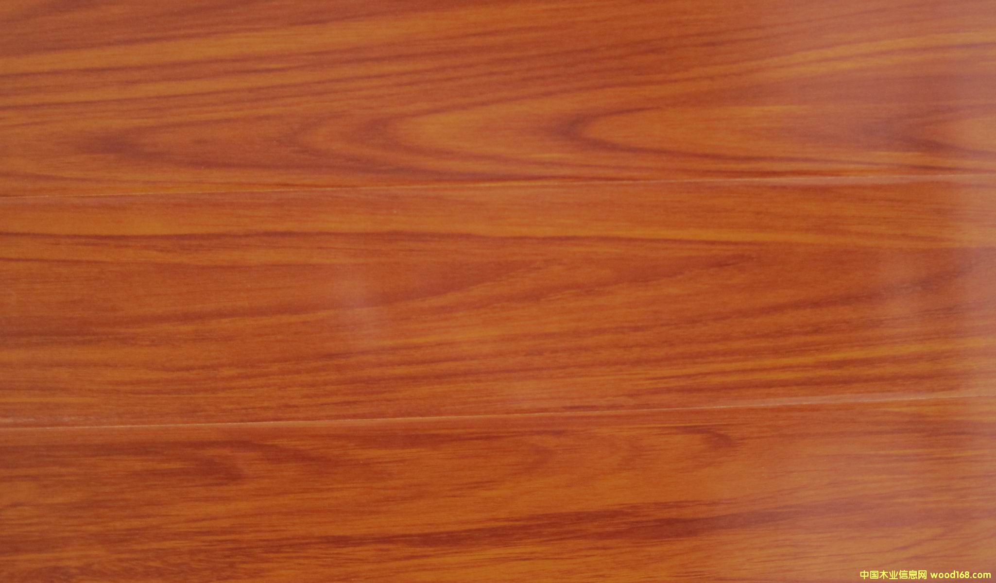 �c���鿴1509�Ŵ�DƬ