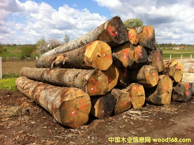 �|�W��ľ-���м���Ԕ��(x��)��B