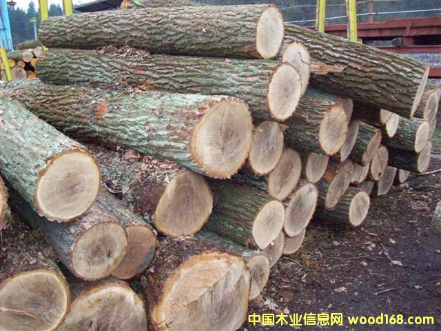 �|�W��ľ-AB����Ԕ��(x��)��B