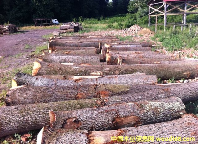 �|�W��ľ-A����Ԕ��(x��)��B