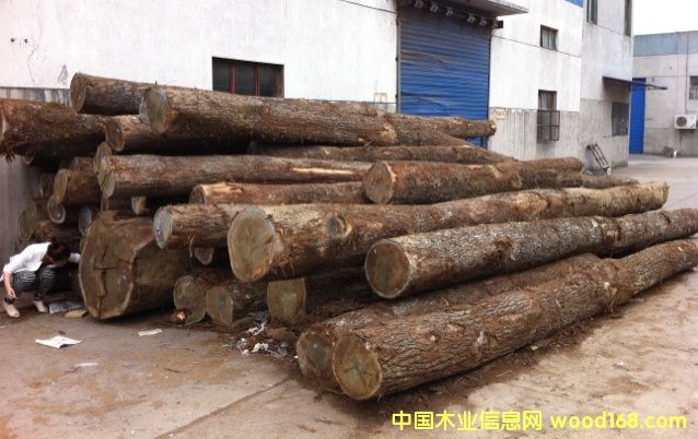 �|�W��ľ-C����Ԕ��(x��)��B