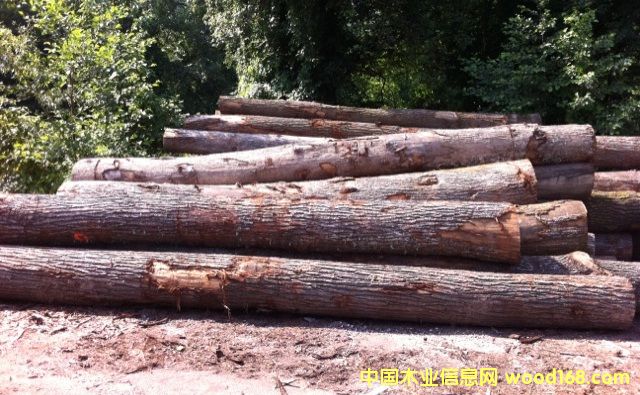 �|�W��ľ-BC����Ԕ��(x��)��B