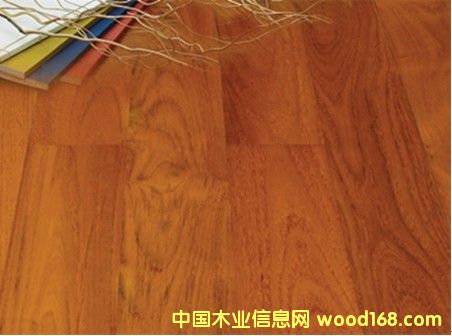 ɭ��֮�þ�Ʒ���y��Ԕ��(x��)��B