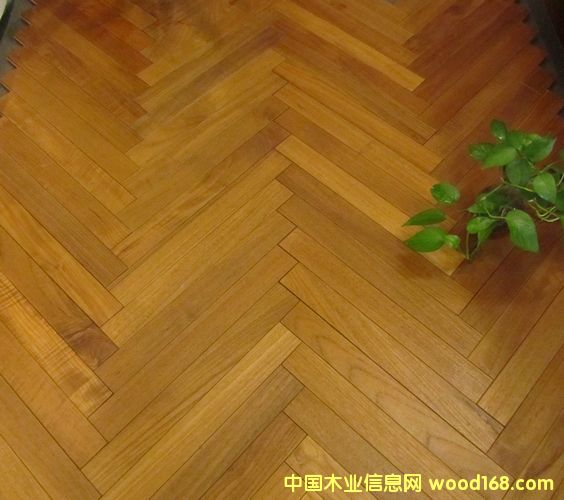 ɭ��֮��ƴ���ذ�����ƴ��Ԕ��(x��)��B