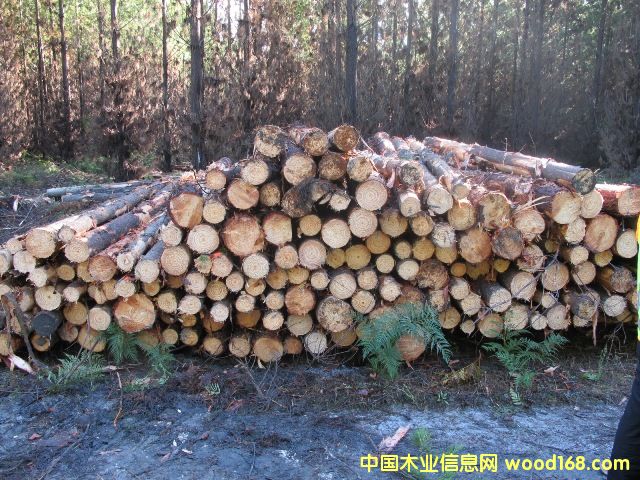 �Ĵ�����ݗ����ԭľ��Ԕ��(x��)��B