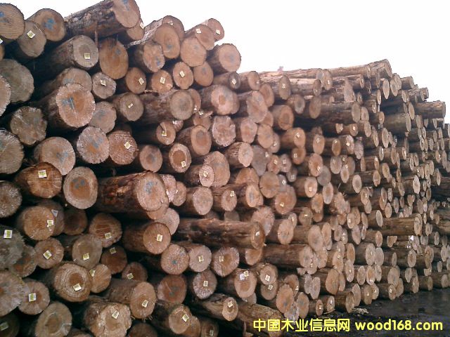 �����mݗ���ɵ�Ԕ��(x��)��B