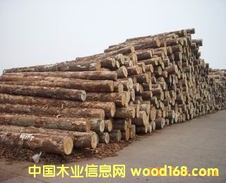 �����mݗ���ɵ�Ԕ��(x��)��B