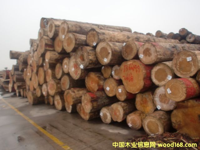 �����mݗ���ɵ�Ԕ��(x��)��B