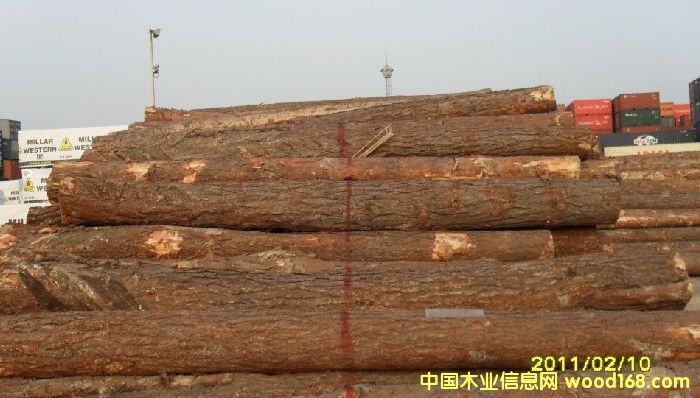 �����m�����ɵ�Ԕ����B