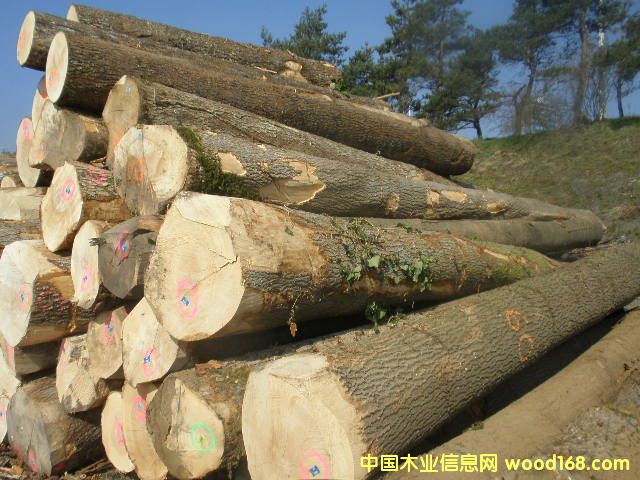 ˮ������Ϟľ��Ԕ����B