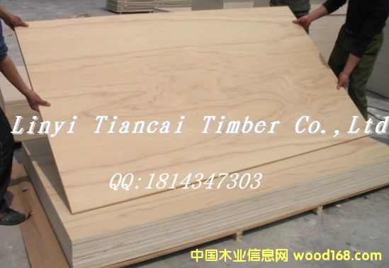 �c���鿴ɽ���z�ϰ�Ŵ�DƬ