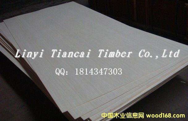 �c���鿴��ľ�N���z�ϰ�Ŵ�DƬ