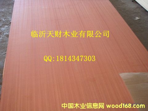 �c���鿴ɳ�����z�ϰ�Ŵ�DƬ