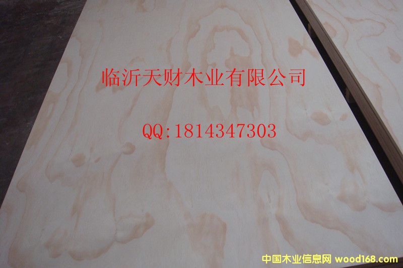 �c���鿴��ľ�z�ϰ�Ŵ�DƬ