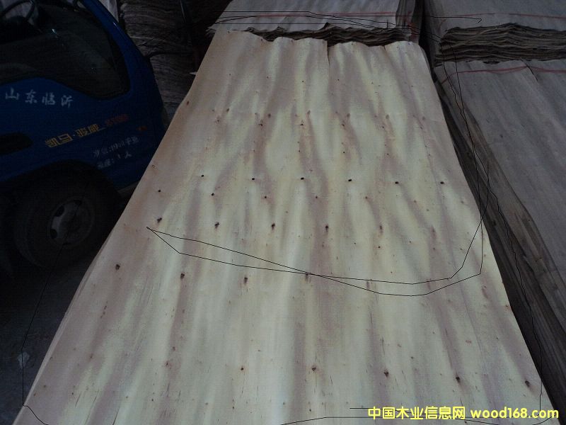 ��ľ�ؼ�о��