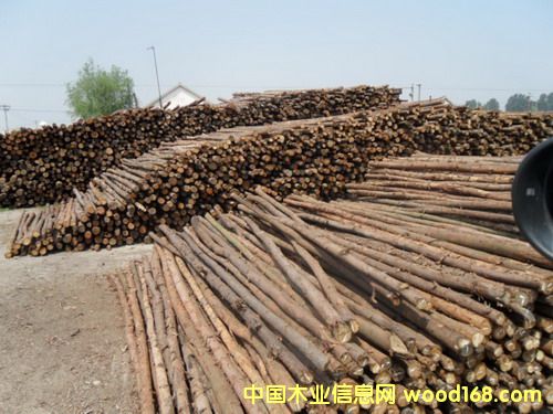 ɼľ�U����ľ�U