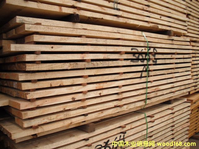 Taeda pine��Ԕ��(x��)��B