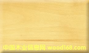 �c���鿴̫ƽ��ח��Ŵ�DƬ