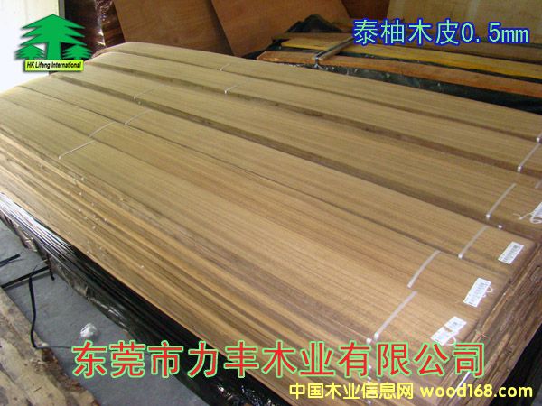 ̩��ľƤ��Ԕ��(x��)��B