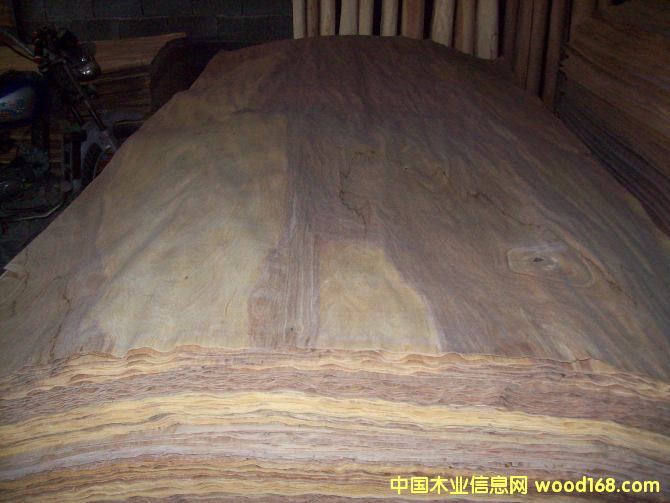 ������Ƥ��Ԕ��(x��)��B