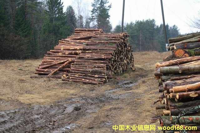 ���{ľ�ĵ�Ԕ��(x��)��B