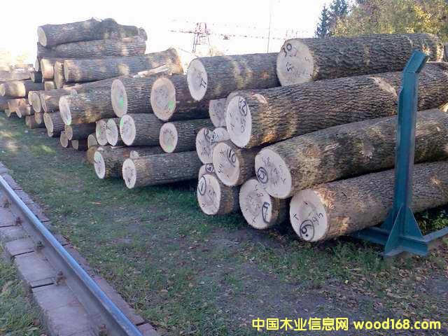 ˮ����ԭľ��Ԕ��(x��)��B