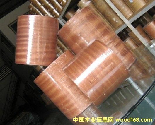 ɳ��������ľƤ