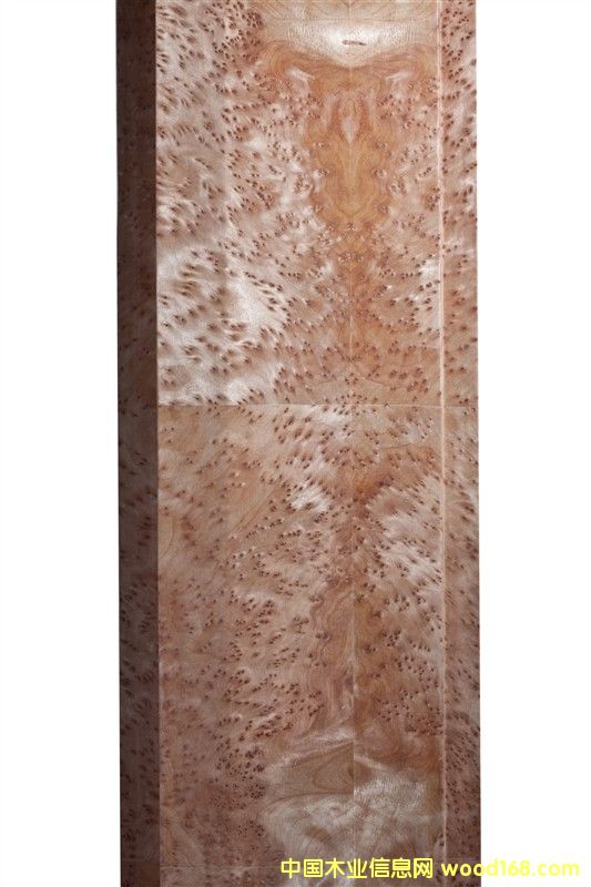 ����ľ����Ԕ��(x��)��B