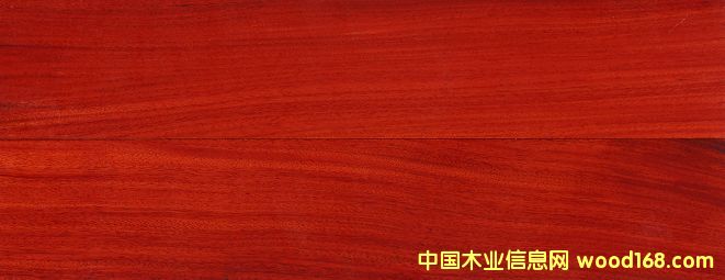 �t̴��(��֬ľ��)�t̴����֬ľ��