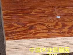 ��ȩ�z�潨��ģ���Ԕ��(x��)��B