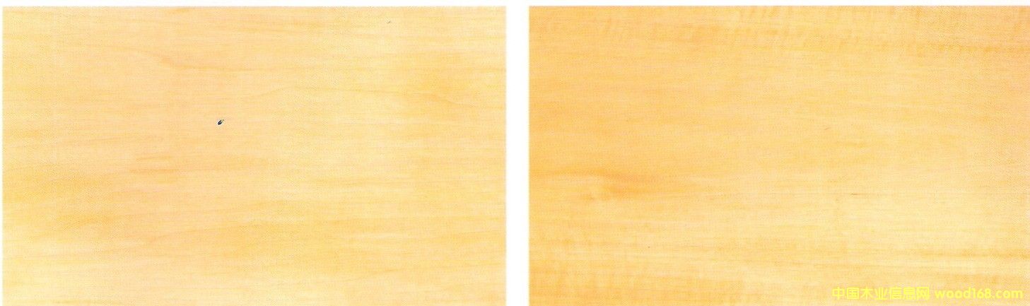 �ľBasswood��Ԕ����B