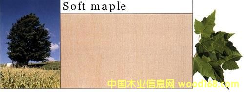 ܛ����Ԕ����B