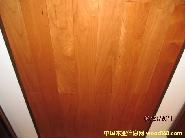 ��������ľ�ذ��Ԕ����B