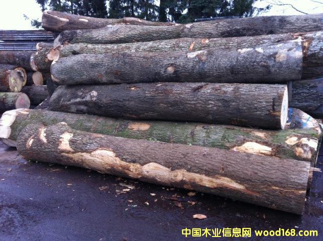 �W�ް�Ϟ��ˮ��������Ԕ��(x��)��B