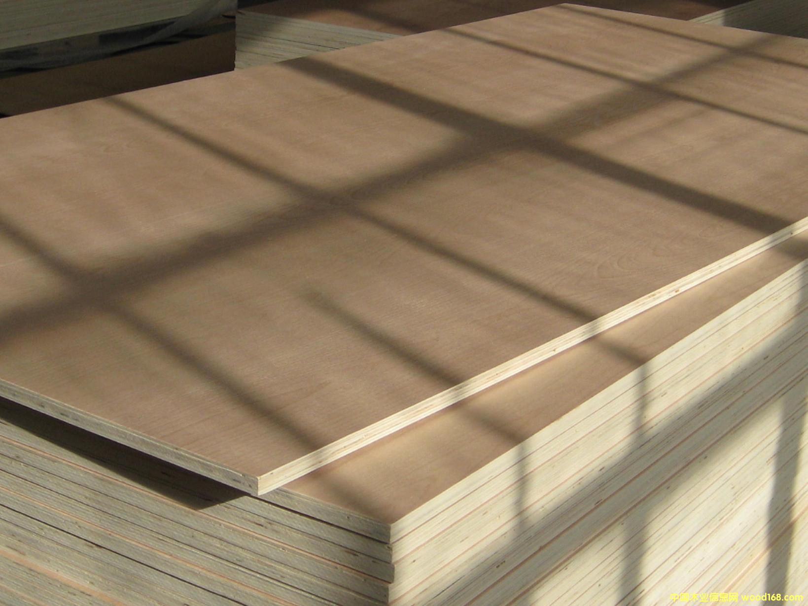 �t��ľ�N���