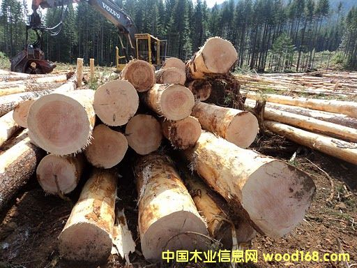 ���ڵ��Ї�(gu��)��Ԕ��(x��)��B